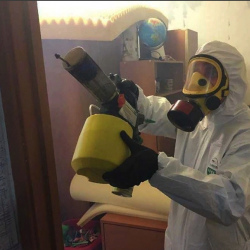 Уничтожение клопов в квартире. Ворсма