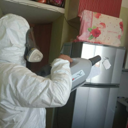 Уничтожение насекомых в квартире. Ворсма